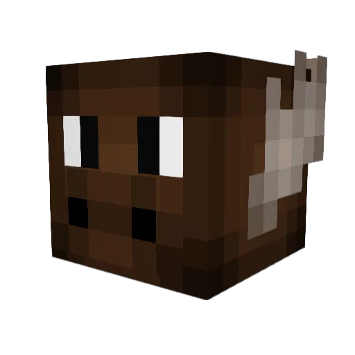 obionekanobi99 Minecraft avatar head, 3D render