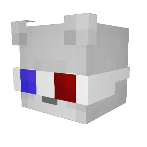 obiwanek123 Minecraft avatar head, 3D render