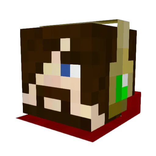 oblivion173 Minecraft avatar head, 3D render