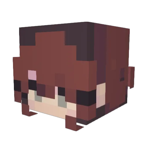 oblivious_onion_ Minecraft avatar head, 3D render