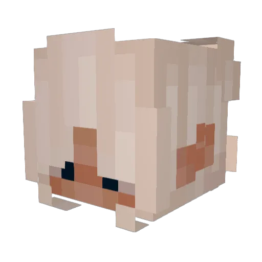 oblongoflight Minecraft avatar head, 3D render