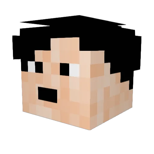 obs__ Minecraft avatar head, 3D render