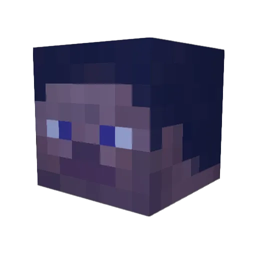 observer0001 Minecraft avatar head, 3D render