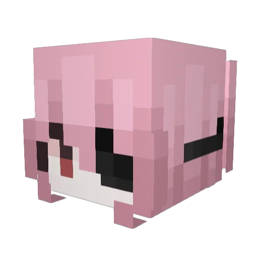 obvfish Minecraft avatar head, 3D render