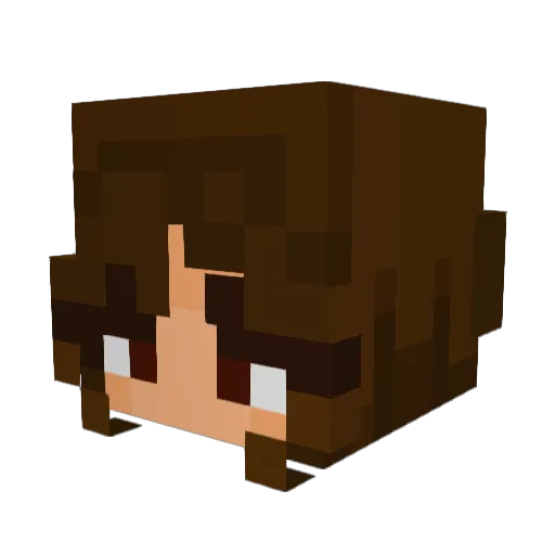 obviouslybabes Minecraft avatar head, 3D render