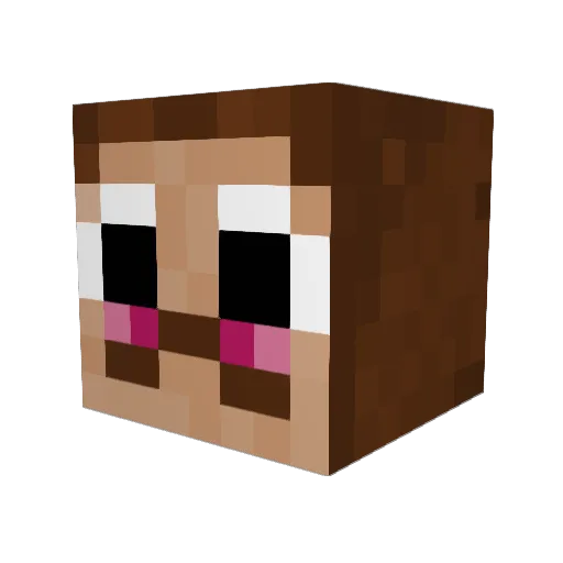 obwan02 Minecraft avatar head, 3D render