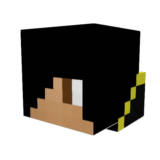 oc11 Minecraft avatar head, 3D render