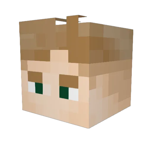 ocafeteiro Minecraft avatar head, 3D render