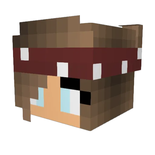 ocea2005 Minecraft avatar head, 3D render