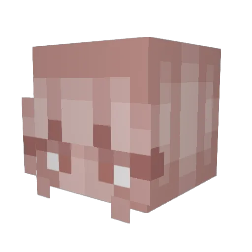 ocean_freeze Minecraft avatar head, 3D render
