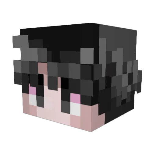 ocean_man4 Minecraft avatar head, 3D render
