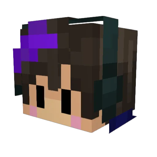 oceanflan Minecraft avatar head, 3D render