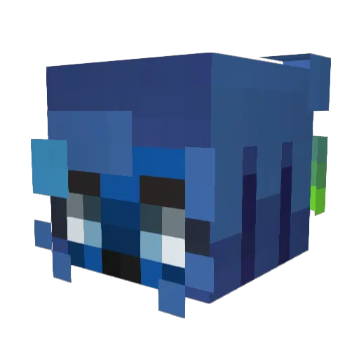 oceanicOracle Minecraft avatar head, 3D render