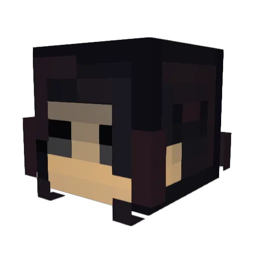 oceannawa Minecraft avatar head, 3D render