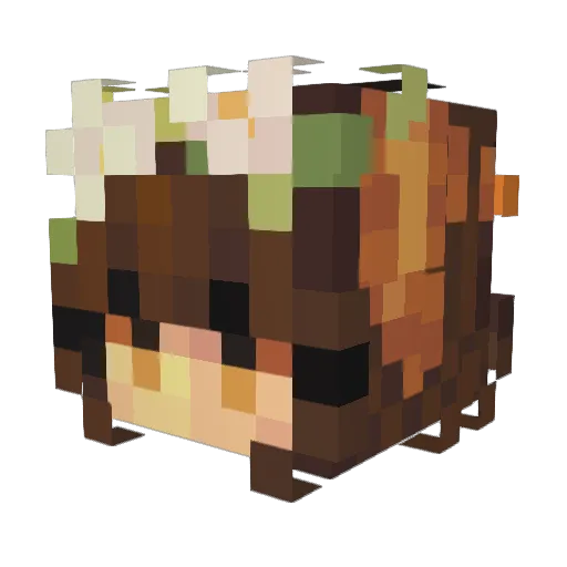 oceanpower2001 Minecraft avatar head, 3D render