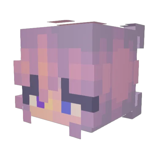 oceansoup444 Minecraft avatar head, 3D render