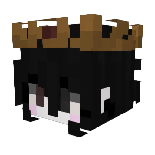 oceanvrx Minecraft avatar head, 3D render