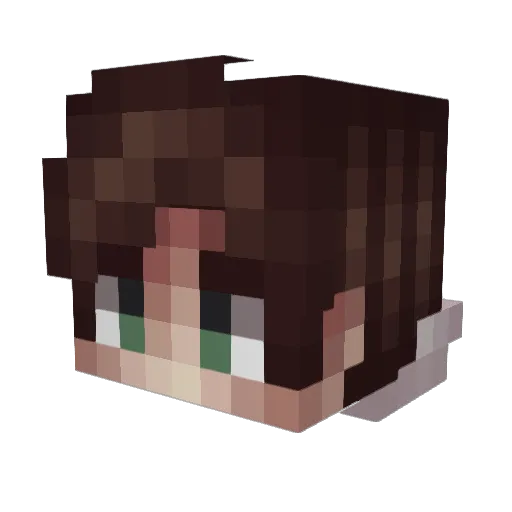 oceanx77 Minecraft avatar head, 3D render
