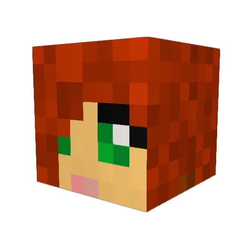 oceanya11 Minecraft avatar head, 3D render