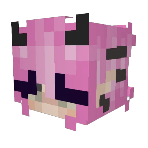 ocelotkid7 Minecraft avatar head, 3D render