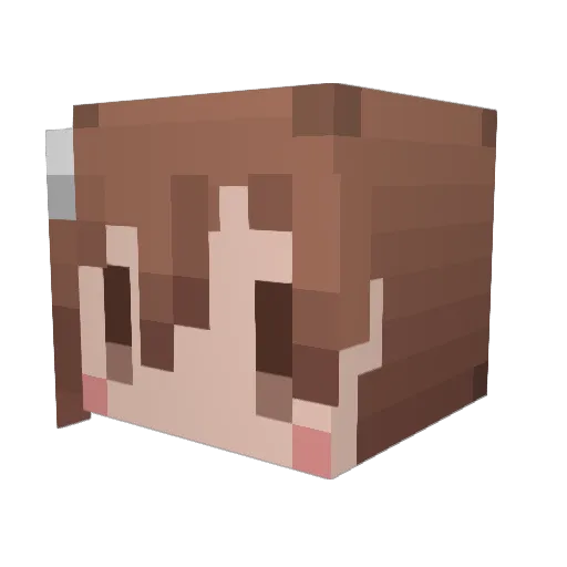 ochatee Minecraft avatar head, 3D render