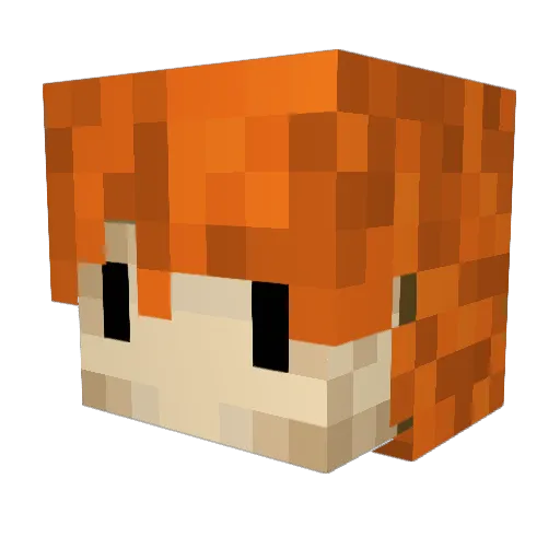 ockepocke02 Minecraft avatar head, 3D render