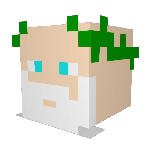 octatium Minecraft avatar head, 3D render