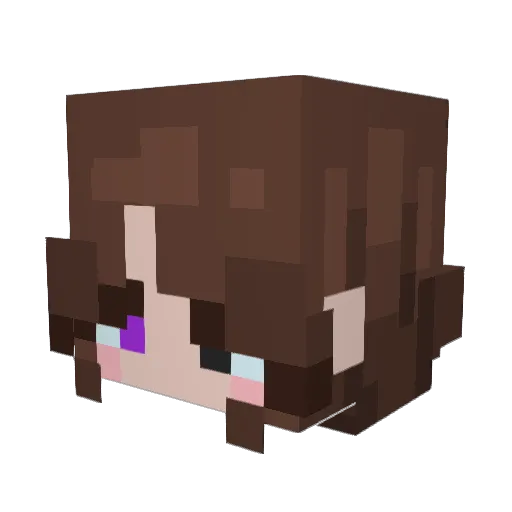octolateral Minecraft avatar head, 3D render
