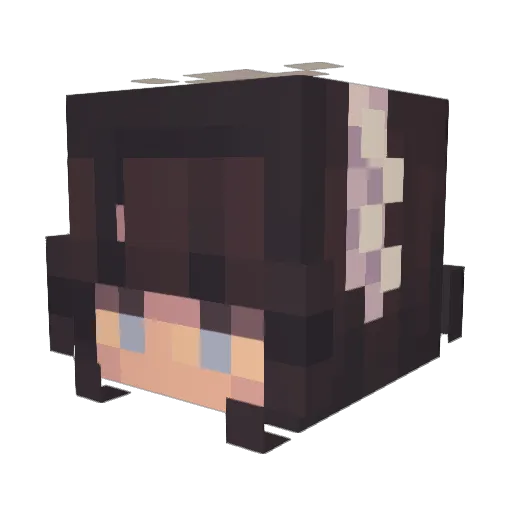 octopus_toe_ Minecraft avatar head, 3D render
