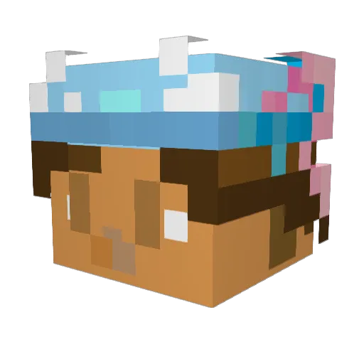 ocufy Minecraft avatar head, 3D render