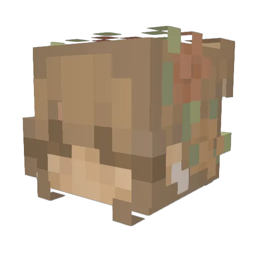 oddbeanz Minecraft avatar head, 3D render