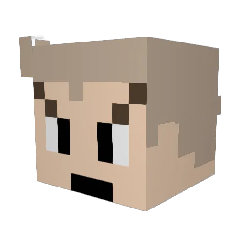 oddish2211 Minecraft avatar head, 3D render