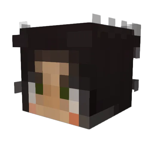oddlady Minecraft avatar head, 3D render