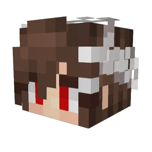 oddleii Minecraft avatar head, 3D render