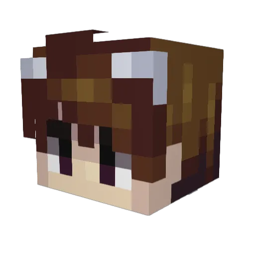 oddlycool145 Minecraft avatar head, 3D render
