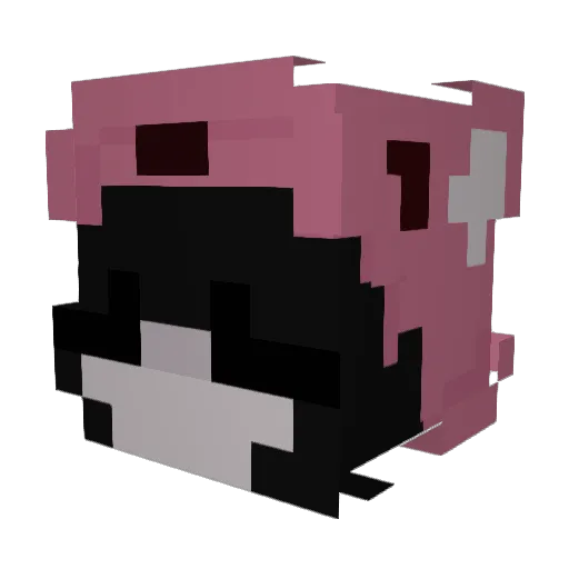 oddrayne Minecraft avatar head, 3D render