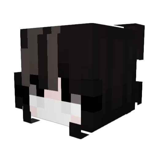 odeveca Minecraft avatar head, 3D render