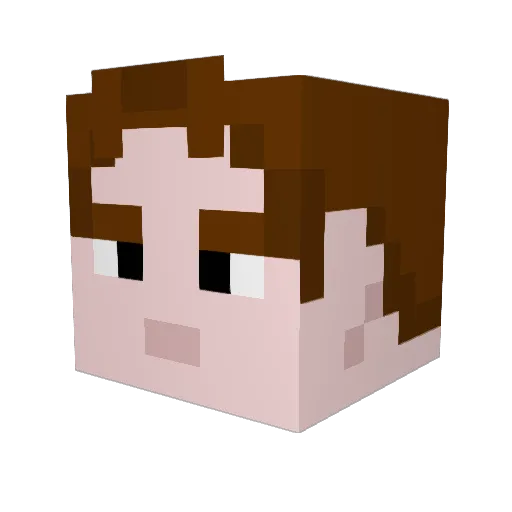 odhinnhrafn Minecraft avatar head, 3D render