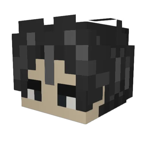 odins Minecraft avatar head, 3D render