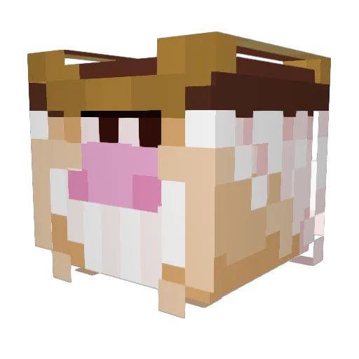 odium0816 Minecraft avatar head, 3D render