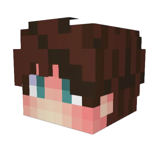 oe9999 Minecraft avatar head, 3D render