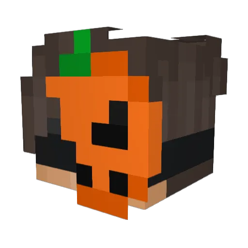 oeLLph Minecraft avatar head, 3D render