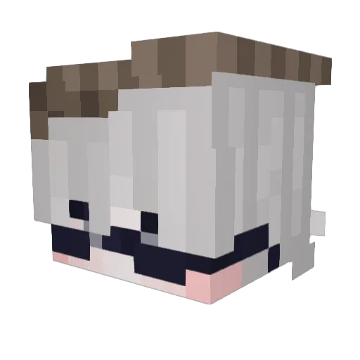 oeil_minamin Minecraft avatar head, 3D render
