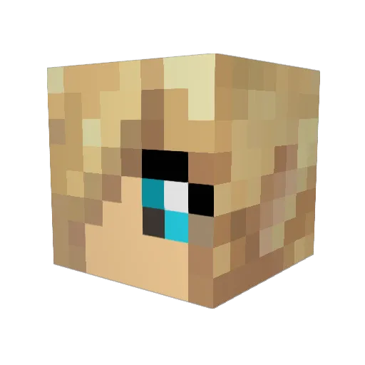 oer1009 Minecraft avatar head, 3D render
