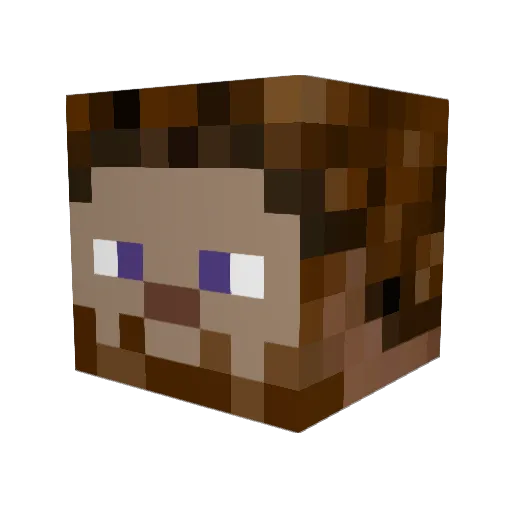 oesenland2 Minecraft avatar head, 3D render