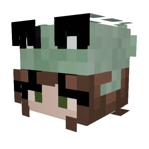 oesterle4 Minecraft avatar head, 3D render