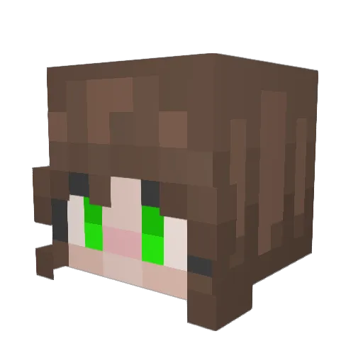 ofefkoflots Minecraft avatar head, 3D render