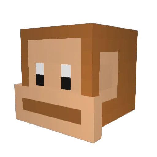ofektheking123 Minecraft avatar head, 3D render