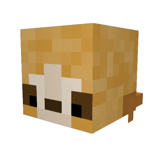 officialLilduck Minecraft avatar head, 3D render