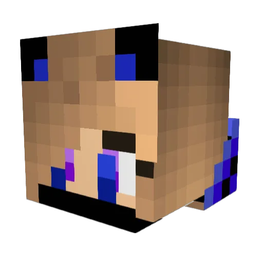 official_joyce Minecraft avatar head, 3D render